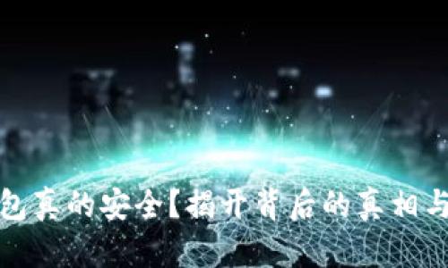 TP钱包真的安全?揭开背后的真相与挑战