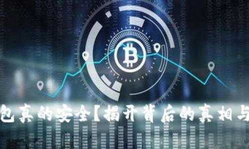 TP钱包真的安全?揭开背后的真相与挑战