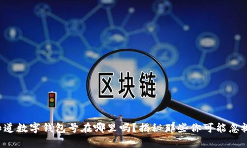 你真的知道数字钱包号在哪里吗?揭秘那些你可能忽视的细节!