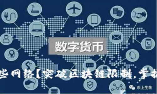 TP钱包支持哪些网络?突破区块链限制,掌握数字资产未来