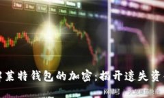 如何破解莱特钱包的加密：揭开遗失资金的迷雾