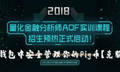如何在TP钱包中安全管理你的Pig币？克服投资挑战