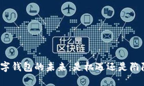 数字钱包的未来：是机遇还是陷阱？