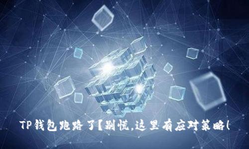 TP钱包跑路了?别慌,这里有应对策略!