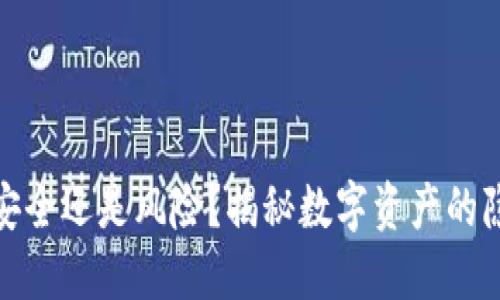 TP钱包:安全还是风险?揭秘数字资产的隐秘角落!