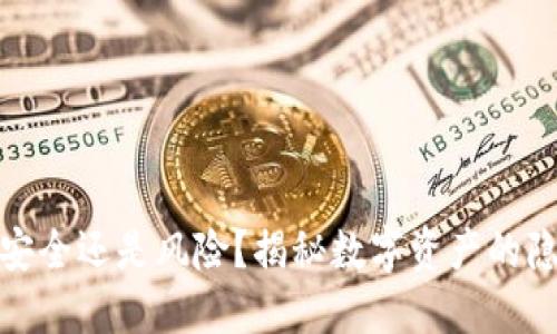 TP钱包:安全还是风险?揭秘数字资产的隐秘角落!