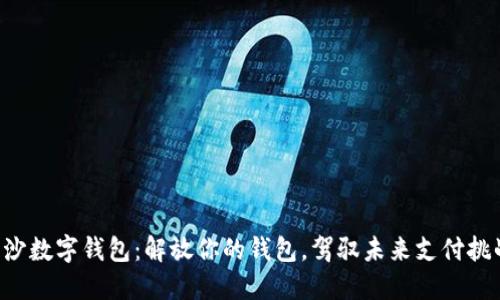 长沙数字钱包:解放你的钱包,驾驭未来支付挑战!