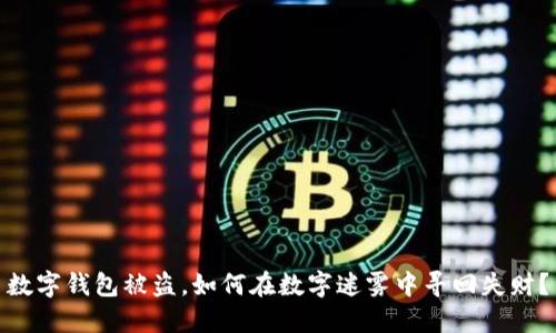 数字钱包被盗,如何在数字迷雾中寻回失财?