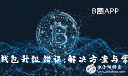 数字人民币钱包升级错误:解决方案与常见问题解析