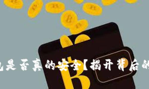 TP钱包冷钱包是否真的安全?揭开背后的真相与挑战!