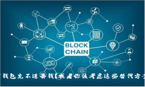 数字钱包充不进去钱?或者你该考虑这些替代方案了!
