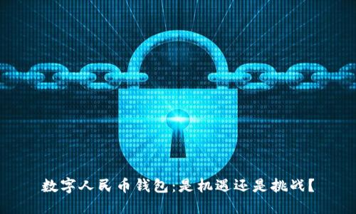 数字人民币钱包：是机遇还是挑战？