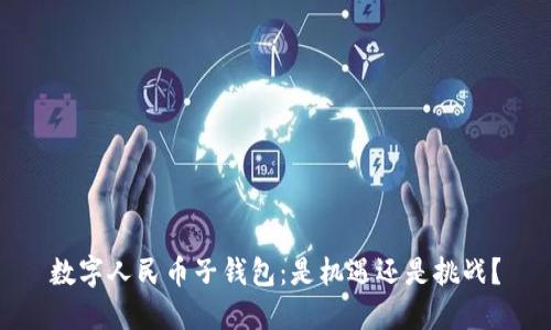 数字人民币子钱包：是机遇还是挑战？