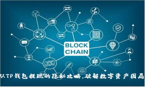 从TP钱包提现的隐秘攻略，破解数字资产困局！