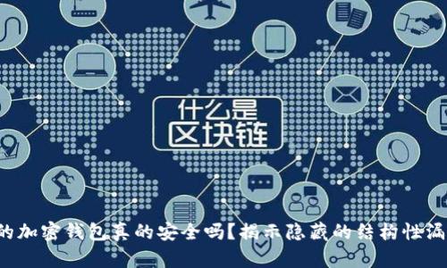 你的加密钱包真的安全吗?揭示隐藏的结构性漏洞!