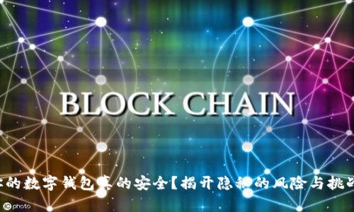 你的数字钱包真的安全?揭开隐秘的风险与挑战!