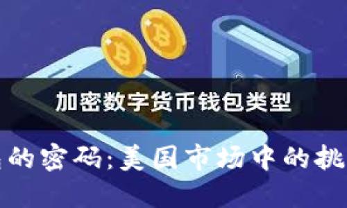 数字钱包的密码:美国市场中的挑战与胜利