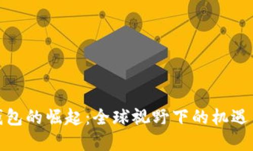 数字钱包的崛起:全球视野下的机遇与挑战