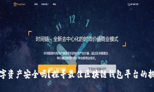 你的数字资产安全吗?探寻最佳区块链钱包平台的挑战之旅