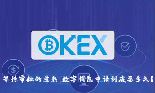 等待审批的煎熬:数字钱包申请到底要多久?