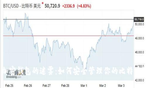 破解加密钱包的迷雾：如何安全管理你的比特币资产？