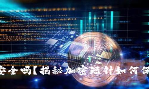 “你的零钱包安全吗?揭秘加密短针如何保护你的财产!”