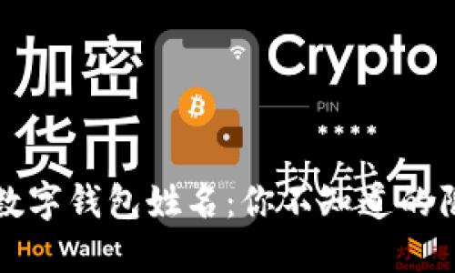 如何轻松修改数字钱包姓名:你不知道的陷阱与解决方案