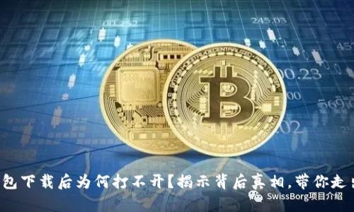 TP冷钱包下载后为何打不开?揭示背后真相,带你走出困境!