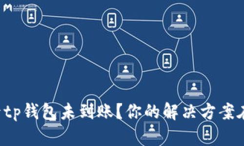 提币后tp钱包未到账?你的解决方案在这里!