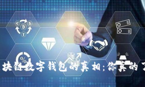 揭开区块链数字钱包的真相:你真的了解吗?