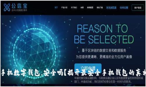 手机数字钱包,安全吗?揭开最安全手机钱包的真相