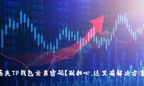 丢失TP钱包交易密码?别担心,这里有解决方案!