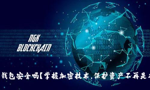 你的钱包安全吗?掌握加密技术,保护资产不再是难题!