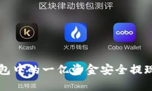 如何将数字钱包中的一亿资金安全提现?挑战与对策!