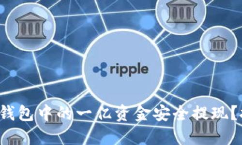 如何将数字钱包中的一亿资金安全提现?挑战与对策!