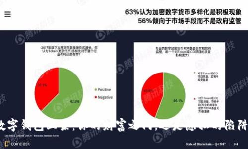 数字钱包上架:你的财富之门,还是隐私的陷阱?