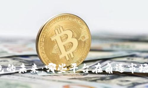 数字钱包的未来：哪些平台在角逐市场的顶端？