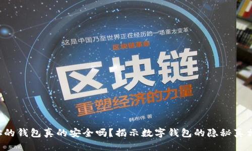 你的钱包真的安全吗？揭示数字钱包的隐秘真相！