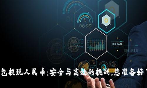 TP钱包提现人民币:安全与高效的挑战,您准备好了吗?