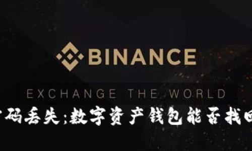 密码丢失:数字资产钱包能否找回?