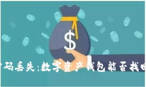 密码丢失:数字资产钱包能否找回?