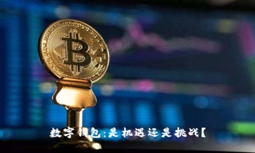 数字钱包:是机遇还是挑战?
