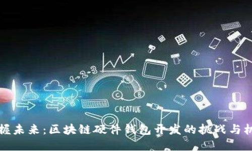 掌握未来:区块链硬件钱包开发的挑战与机遇