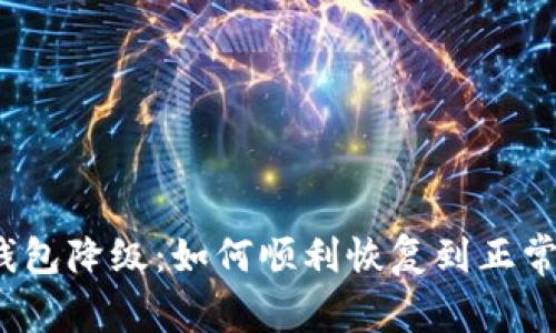 数字钱包降级:如何顺利恢复到正常状态?