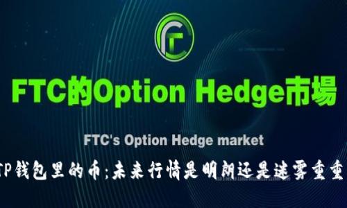 TP钱包里的币:未来行情是明朗还是迷雾重重?