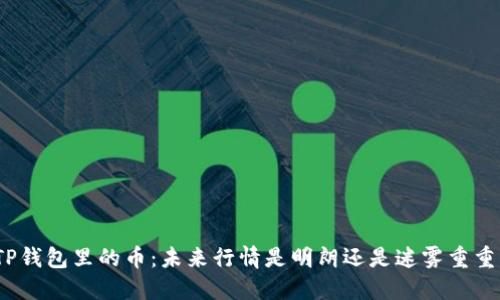 TP钱包里的币:未来行情是明朗还是迷雾重重?