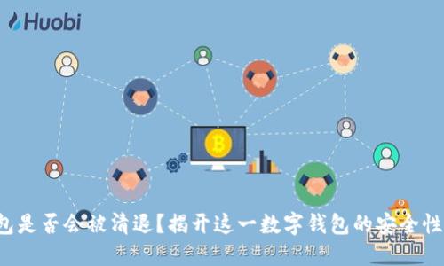 TP钱包是否会被清退?揭开这一数字钱包的安全性之谜!