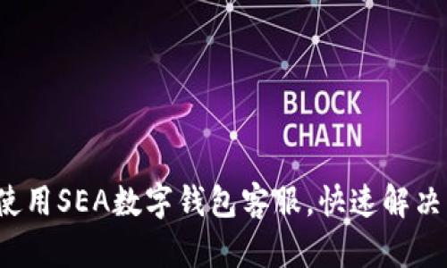 如何有效使用SEA数字钱包客服，快速解决您的问题？