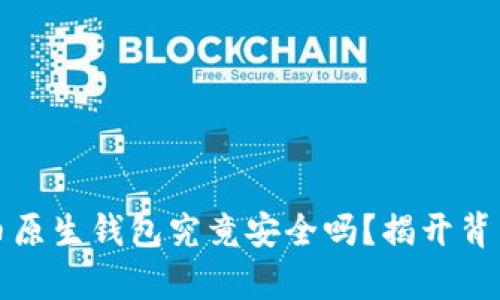 加密货币原生钱包究竟安全吗？揭开背后的真相