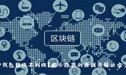 TP钱包转账不到账？揭示隐藏的原因与解决方案！
